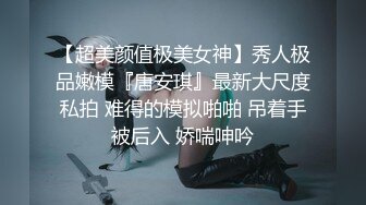 【风骚姐姐】【安放】良家小姐姐大尺度情趣诱惑肤白貌美，极品尤物，谁能干她一炮！ (3)