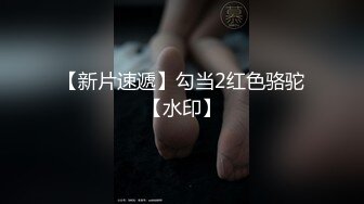 乡下艳舞团 草台班子 (1)