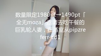 数量限定1980pt→1490pt「全无moza」邀请去吃午餐的巨乳轮人妻，在浴室从pipzreferr-cd1