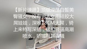 可爱女友是我的中出专用播种宠物