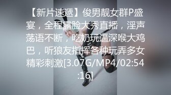 ★☆稀缺资源☆★推特30万粉母狗【Ella小骚狐】野外露出 调教 多P付费订阅 (10)