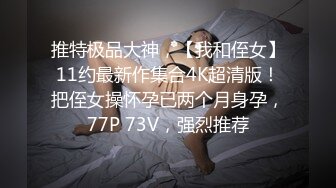 推特极品大神，【我和侄女】11约最新作集合4K超清版！把侄女操怀孕已两个月身孕，77P 73V，强烈推荐