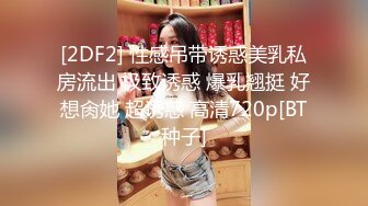 饲育系少女X呀 雷姆