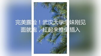 高清，手式验证