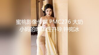 果凍傳媒 91ZCM015 屌絲硬上風騷白富美 李蓉蓉