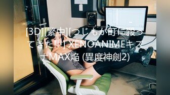 [3D][繁中][つじもが町に殺ってきた!!!] XENOANIMEキズナMAX焔 (異度神劍2)