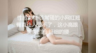 「一日女友的漂亮姐姐」- 下 - 终章1