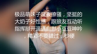 后入大屁股小母狗 水多