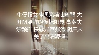 南航空姐，高跟黑丝女神，甜美温柔此等佳人难得一遇，超清4K角度偷窥