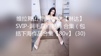 维拉舞团 艳舞女神 【琳达】SVIP-漏毛露点艳舞 合集（包括下海作品合集【80v】 (30)