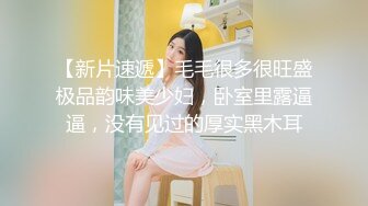 魅惑女仆