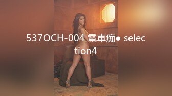 537OCH-004 電車痴● selection4