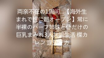 両亲不在の1周间…【海外生まれで性に超オープン】常に半裸のハーフ姉妹と仆だけの巨乳まみれ3人共同生活 楪カレン 逢见リカ