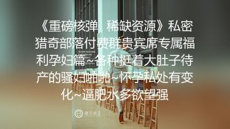 微博红人梨甜姨冰清美人留学生李X宜与男友私密不雅自拍视图外泄极品反差婊150P+1V