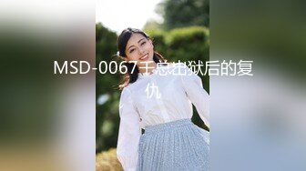 MSD-0067千总出狱后的复仇