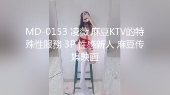 阿朱内部私购 NO.025 女仆与猫