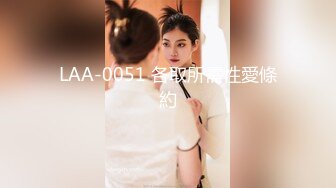 LAA-0051 各取所需性愛條約