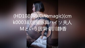 (HD1080P)(Cinemagic)(cmk00038)浣腸豚鼻ハイソ夫人 Mという因果 朝川静香