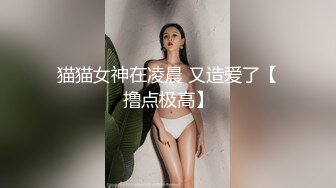 猫猫女神在凌晨 又造爱了【撸点极高】