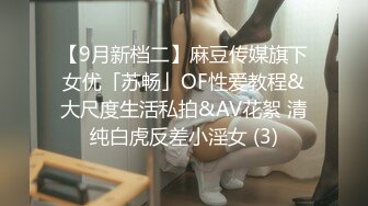 XKG172 苏小沫 逮住机会顺势强上兄弟貌美的嫩妻 星空无限传媒