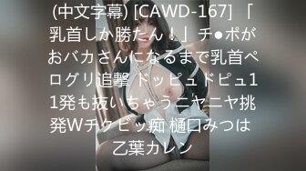 9/18最新 大波浪性感美腿小姐姐链子情趣装振动棒猛插VIP1196