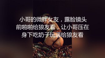 亚洲爆乳精品无码一区二区