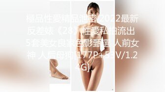 極品性愛精品泄密 2022最新反差婊《28》性愛私拍流出 5套美女良家色影甄選 人前女神 人后母狗[177P+53V/1.24G]