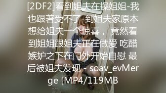 [2DF2]看到姐夫在操姐姐-我也跟著受不了-到姐夫家原本想给姐夫一个惊喜， 竟然看到姐姐跟姐夫正在做爱 吃醋嫉妒之下在门外开始自慰 最后被姐夫发现 - soav_evMerge [MP4/119MB