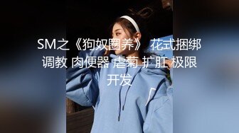 MT027 麻麻传媒 姐妹春药开箱实录 性爱处罚绝对服从 可儿 乐乐