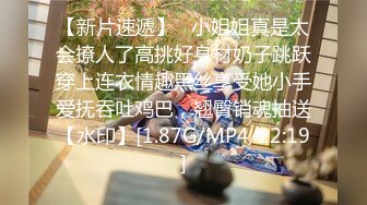 【Z先生】聚会认识的豪放东北女人叫床都很搞笑