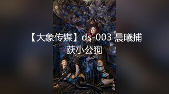 【大象传媒】ds-003 晨曦捕获小公狗